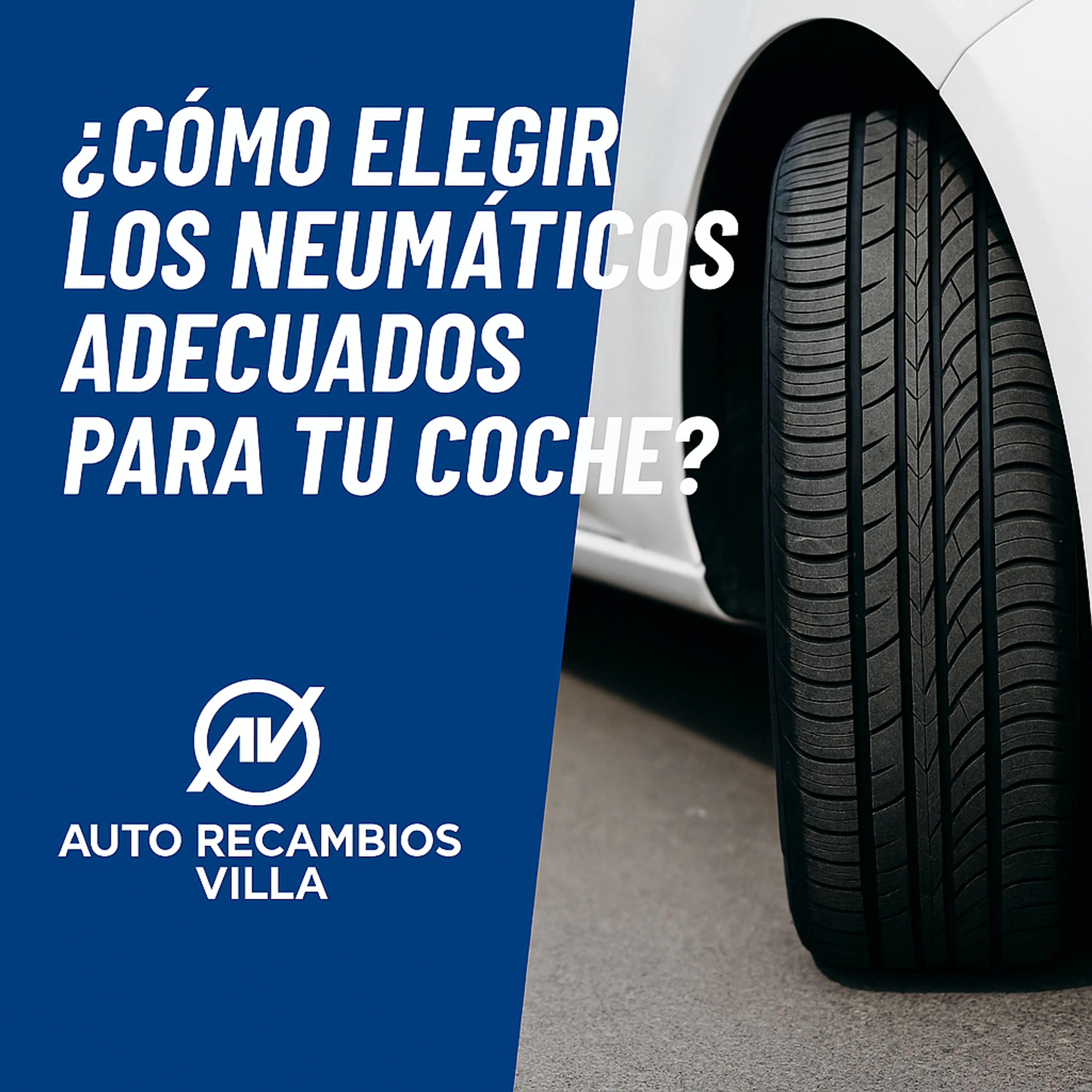 neumaticos coche